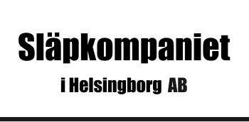 Company 4